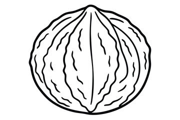 Simple Black and White Walnut Outline Illustration, Single Nut Drawing, Healthy Food