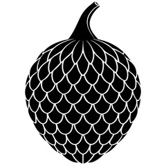 vector illustration of an apple