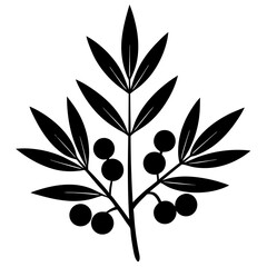 black olives vector illustration