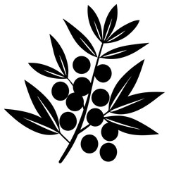 olive branch vector illustration