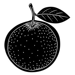 vector illustration of an apple