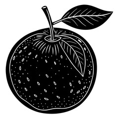 vector illustration of an apple