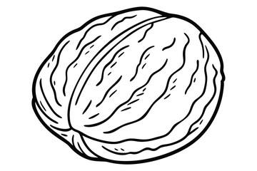 Black and white line drawing of a whole walnut in its shell
