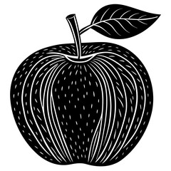 vector illustration of an apple