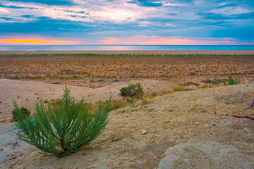 Sunset over the Aral Sea desert,  Uzbekistan