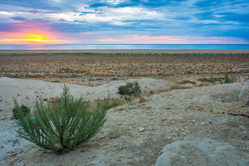 Sunset over the Aral Sea desert,  Uzbekistan