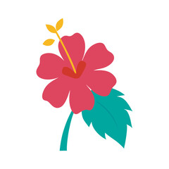 Tropical Hibiscus Flower Frame Vector