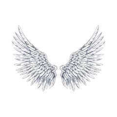 Obraz premium Angel wings sketch, vector hand drawn spread white wings, pair of heraldic wings bird winged feathers up side