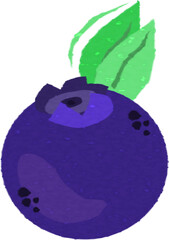  Borówka – owocowa ilustracja wektorowa © Laura