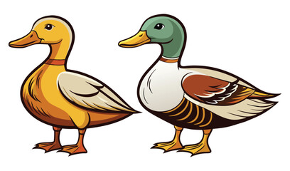 Obraz premium Photo of two ducks isolated on white background