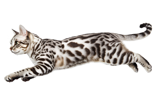  A large pile of colorful flowers, with purple, pink, and yellow blossoms arranged in an arch shape on top of each othe