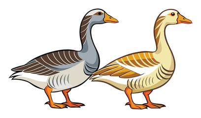 Obraz premium Photo of two geese illustrations isolated on white background