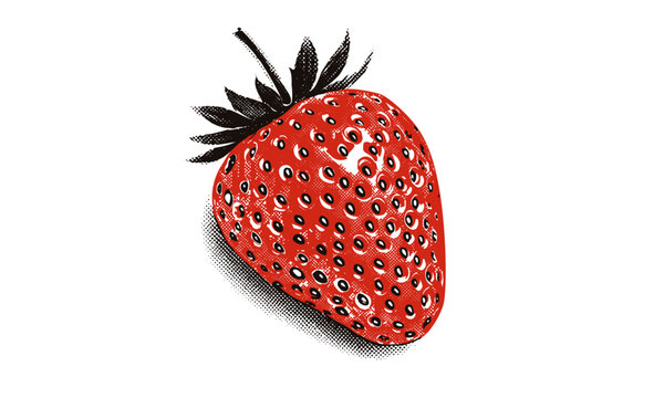 Strawberry Contemporary Collage Element