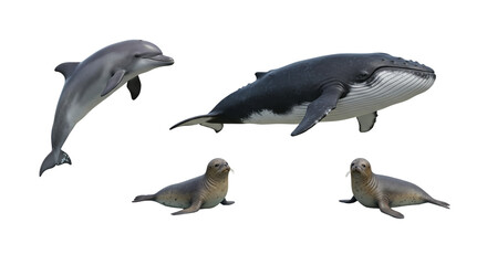 Fototapeta premium A whimsical gathering of ocean friends a playful dolphin a gentle whale and two curious seals on transparent background