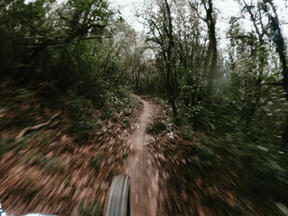 Riding a mountain bike fast on a single track in the middle of the forest front wheel and ground point of view