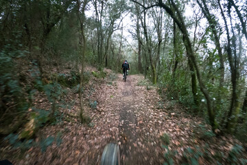 Chasing another rider on a cross country mountain bike race rider point of view inside a forest on a mountain bike trail