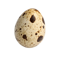 Single quail egg isolated on transparent background