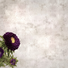 square stylish old textured paper background with autumn Aster