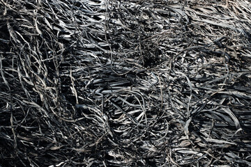 Ashes from burnt grass. Close-up of scorched dry grass and twigs after a wildfire. Natural texture of burned vegetation. Perfect for backgrounds, environmental themes, or climate change concepts