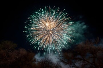 Obraz premium fireworks in the sky