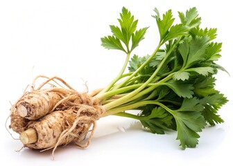 Fototapeta premium lovage root isolated on white background