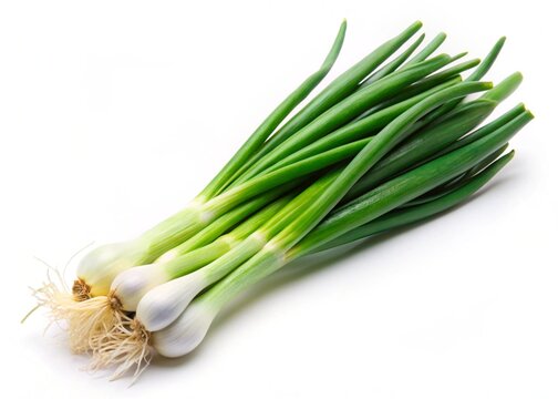 spring onion isolated on white background