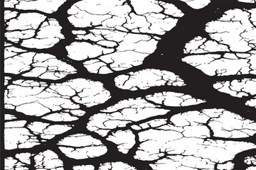 Majestic Tree Silhouette with Intricate Branches and Textured Bark in Monochromatic Contrast
