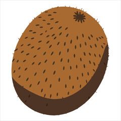 Single juicy whole kiwi fruit hand drawn in cartoon style. Refreshing summer illustration perfect for healthy food and beverage themes.