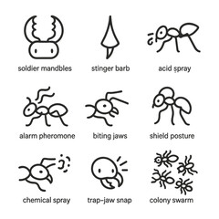 Naklejka premium Ant Defense Icons. Outline icon set of ant defenses: soldier mandibles, stinger barb, acid spray, alarm pheromone, biting jaws,