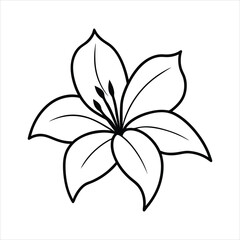 Elegant Lily Flower Outline Illustration for Coloring and Design Projects