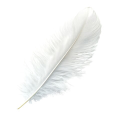 Elegant white feather resting on a flat surface captures tranquility and natural beauty in a minimalistic style © Tanu