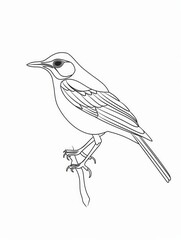 Minimalistic line art of bird