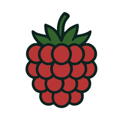  Flat vector illustration of a raspberry.