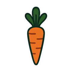 : Flat vector illustration of a carrot.