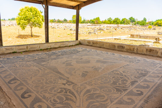 Ancient mosaics in Pella, archaeological site in Macedonia,  birthplace of Alexander the Great, Greece