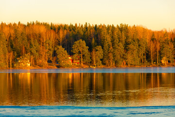 Forest over the frozen lake of Nora in winter,  Sweden
