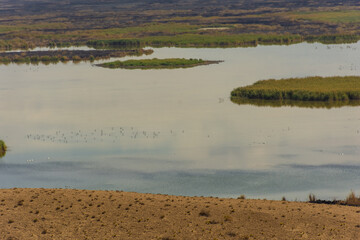 Landscape of the Sudochie Lake, Aral Sea terirtory, Karakalpakstan,  Uzbekistan
