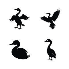 Cormorant bird silhouette set for aquatic bird and coastal wildlife themes vector illustration.