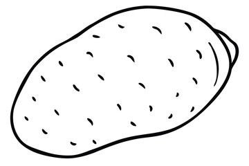 Isolated Outline of Potato with Eyes, Vector Illustration of Root Vegetable Drawing