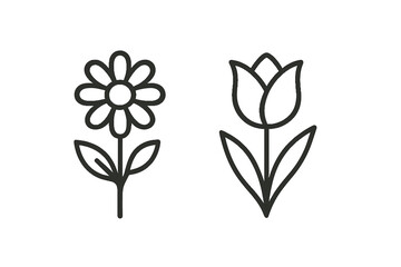Floral line icons featuring a daisy and tulip design  
