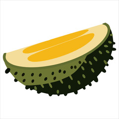 Ripe durian fruit vector illustration isolated on white. Tropical exotic food concept for Asian cuisine and fruit market themes.