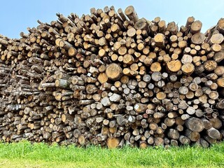 stack of firewood