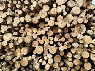 Close-up view of stacked timber logs showing natural wood texture, rings, and cut ends. Concept of logging, forestry, and natural materials.