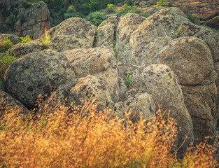 abstract view to granite boulders and golden grass in close up view