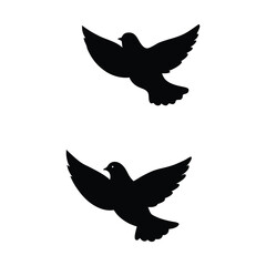 Obraz premium dove with wings