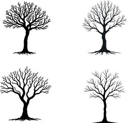 Four bare tree silhouettes isolated on white background