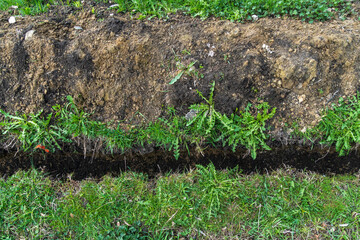 The trench shows freshly dug soil with exposed roots and grass. The area is maintained and shows signs of recent excavation in a garden landscape
