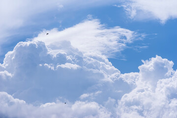 Niebo wypełniają kłębiaste chmury cumulus, wydające się miękkie i teksturowane na tle żywego niebieskiego tła. Widoczne są dwa ptaki, latające pośród chmur. Chmury zapowiadają rychły deszcz.