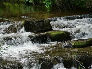 Rocks covered with moss in the flowing creek, Rokugō, Akita, Japan
