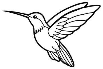 Artistic Line Drawing Depicting a Hummingbird in Flight with Wings Extended, Beautiful Design